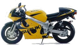 gsxr600amirilla_p.jpg (9922 bytes)