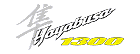 gsx1300rxlogo.gif (1074 bytes)